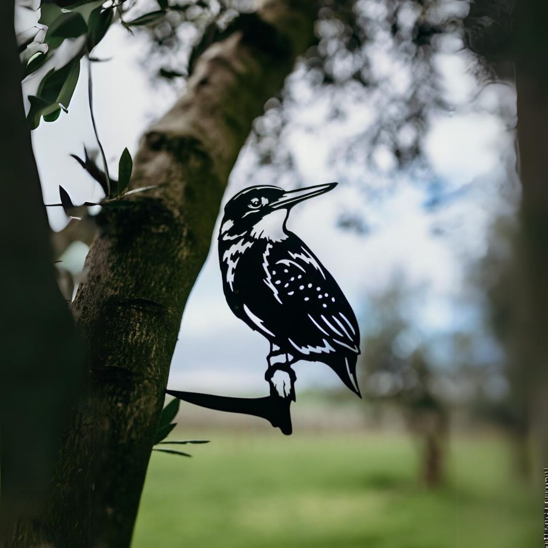 Kingfisher