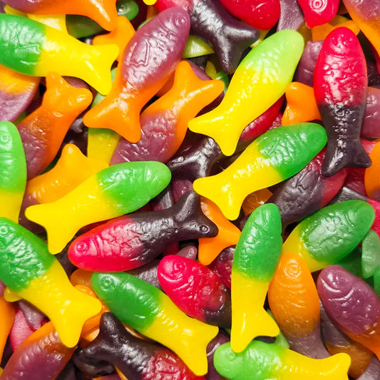 Colourful Rainbow Fish (1kg Bag)