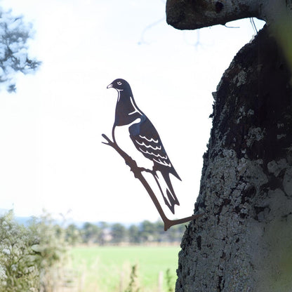 Pigeon