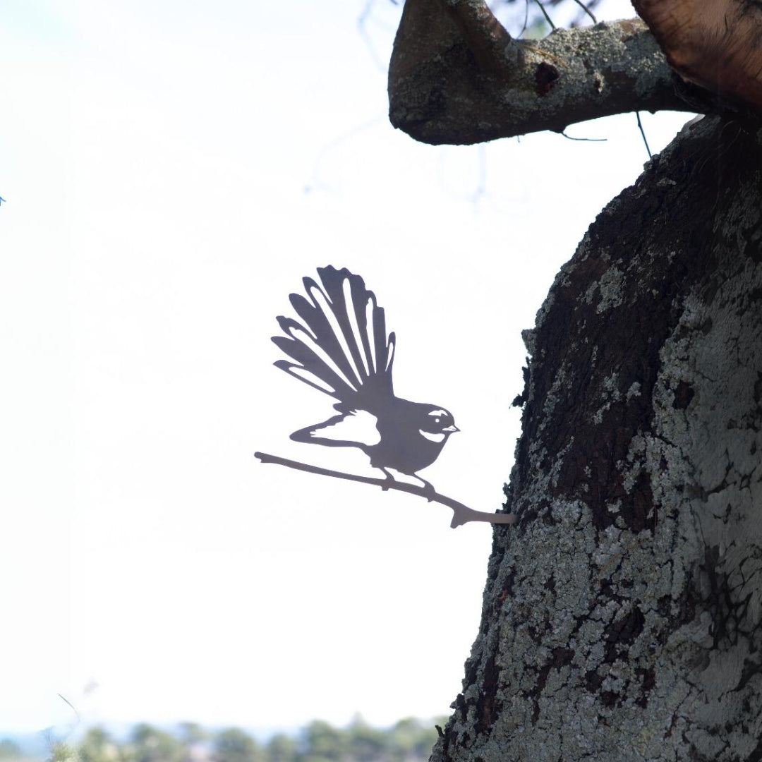 Fantail
