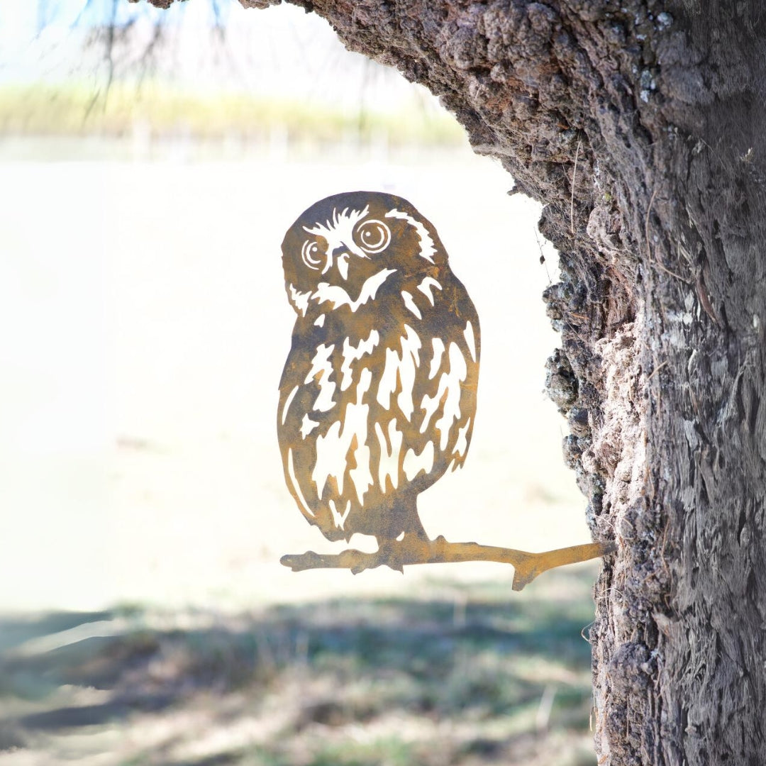 Morepork