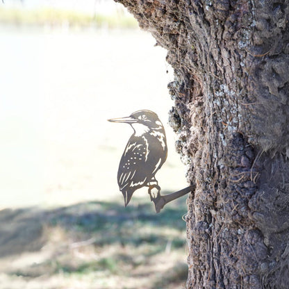 Kingfisher