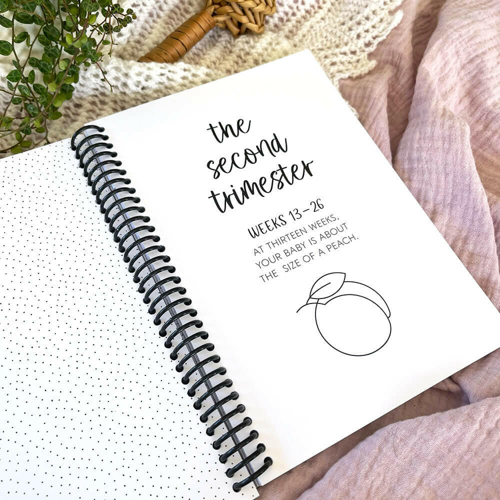 'Bump to Bubba' Pregnancy Journal